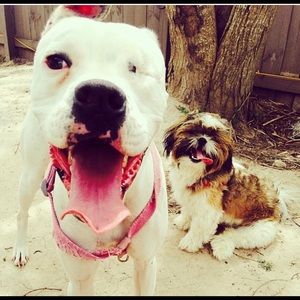 Meet your Posher, Lazaro